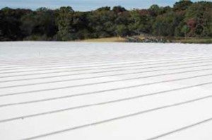 Commercial Roofing Services