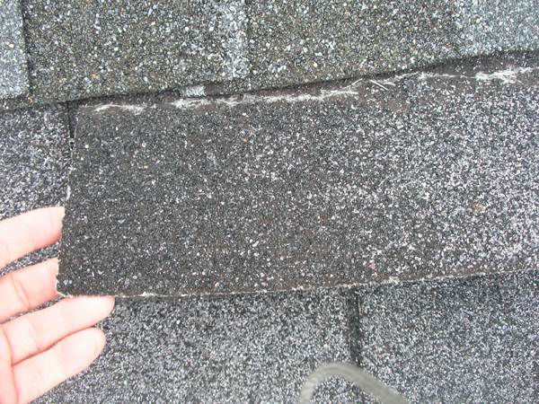 Curled Shingles or Loose Shingles